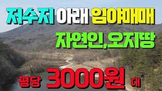 산속계곡물 철철~임야매매 평당3000원대! 일부 앞쪽 준보전산지 ~전기기본거리 조용한나홀로 자연인 할수 있는~평당3800원 15741평 경북 안동 임야매물 세상사는 부동산