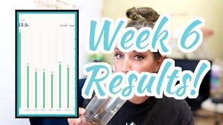 ⏰ Intermittent Fasting Results (Week 6) Fast Feast Repeat August 2020