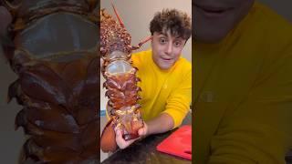 COOKING MASSIVE LOBSTER