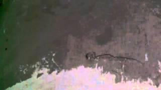 VID 20160108 092536