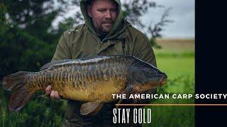 THE AMERICAN CARP SOCIETY - STAY GOLD