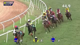 RANQUELINO: THE BANGALORE 2000 GUINEAS(GR II)(56)