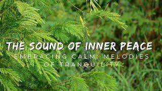 The Sound of Inner Peace 101: Embracing Calm: Melodies of Tranquility: Rediscovering Calmness