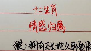 十二生肖/情感归属#傳統文化 #知识分享 #属相