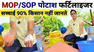 खेती में बेस्ट पोटाश फर्टिलाइजर | SOP Fertilizer | MOP Fertilizer | ssp fertilizer | sarso ki kheti