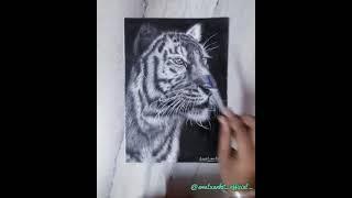 realastic tiger with charcoal@its art adda#art competition #art #shorts #drawing #sketch