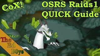 OSRS Quick Chambers of Xeric Guide | Learn Raids 1 (Quick CoX Guide)