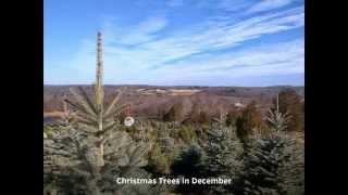 Jones Family Farm Briefly