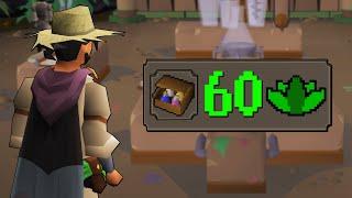 The 60 Herblore Wall (#23) | Task Locked