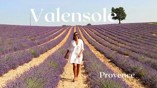 Beautiful VALENSOLE in PROVENCE! Alone on a Road trip to FRENCH LAVENDER Fields 