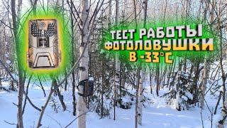 Тест фотоловушки SUNTEK HC900A в мороз -33°С | Test of the camera trap SUNTEK HC900A in frost -33 °С