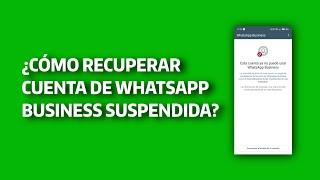 ¿Cómo recuperar cuenta de WhatsApp Business suspendida?