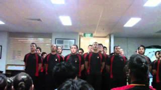 te aute boys singing