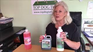 The Best Artificial Grass Cleaner For Dog Urine