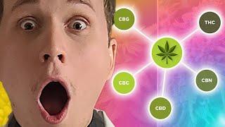 Learn about CBG, CBC, CBN, THC and CBD