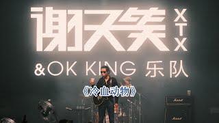 《冷血动物》谢天笑&OK KING「2023 本能 LIVE巡演」上海 2023.08.20