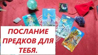 Послание предков. Коротко обо всём. Таро онлайн гадание. Таро расклад. +79213074592