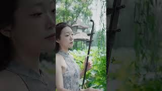 枉凝眉 #二胡 #成都 #music  #chinesemusic  #cover  #erhu #china #chinatravel