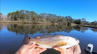 Searching for Winter fish around a Navy Base! Naval Air Station Pensacola, Fla