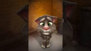 Talking Tom and I made an awesome video together! You can make your own super cool videos with his a