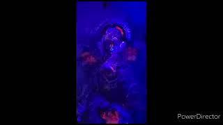 GANESHJI IGLOO DECORATION THEME 2020 - by Rajeshwari Dubey ma'am