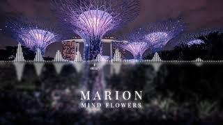 MARION - Mind Flowers | ChillStep