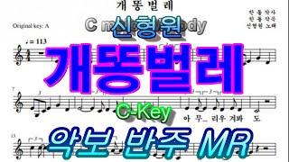 신형원의 개똥벌레 C Key 악보 반주 MR. by 안당 조경욱