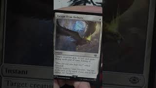 Day 9 of The 12 Days of Christmas #magicthegathering #mtgpackopening #mtgpackcrack @emerickthemage