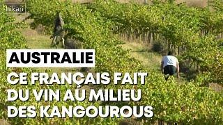 Du vin français au milieu des kangourous !