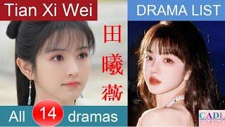 田曦薇 Tian Xi Wei | Drama List | Tian Xiwei's all 14 dramas | CADL