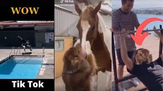 4 Seasons Tiktok  (6) funny compilation top 10 challenge best moments and spectacular Tik Tok