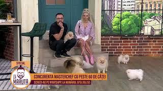 Concurenta MasterChef cu peste 60 de căței