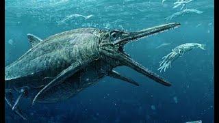 This is the mysterious creature in Mariana Trench!! (2020)