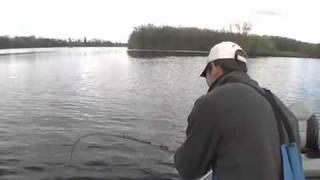 Amazing Jumping Sturgeon Fishing Video