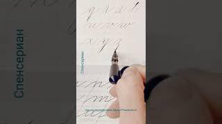 Спенсериан. Строчные, латиница_4. Дарья Романова #shorts #calligraphy #daryaromanova