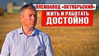 Жить и работать достойно | Племзавод Октябрьский | Возрождение села | Молодежь в сельском хозяйстве