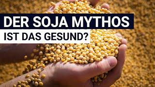 Der Mythos rund um Soja - So gesund ist es wirklich!