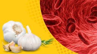 One natural ingredients for controlling blood fats Garlic can control your blood fats levels