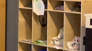 KY3 Digital Extra: Missouri subsidy payments to childcare providers delayed