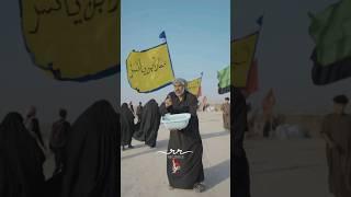 Arbaeen Walk 2024 | #arbaeen2024 #karbala #imamhussain #arbaeen #iraqicity #karbalastatus #najaf