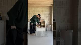 ASMR Apartment Reset  #cleaning #cleaningmotivation #cleanwithme #anxietyrelief #asmrsounds