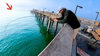 Fishing This Gulf Pier For Dinner When Things Got Crazy!