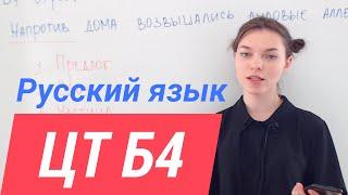 ЦТ В4. Служебные части речи