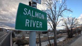 2024 IDAHO STEELHEAD RETURNS IN SALMON