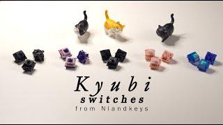 Kyubi Switches & Comparison | Keygeek, BSUN, Huano, JWK, Haimu by NLandKeys