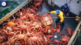 How US Fishermen Catch & Process Tons of Alaskan Red King Crab in Factory | Agriculture Technology