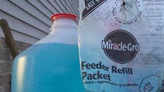 How to Use Miracle-Gro | How to Use Fertilizers | gardening tips