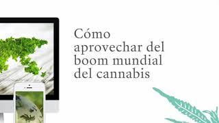 Cbd Home Business In Mexico City (How To Start A Cbd Oil Business) Informative Video!