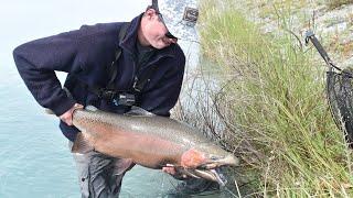 Is This The Worlds Biggest Rainbow Trout EVER Caught On Fly Tackle?