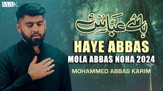 Nohay 2024 | HAYE ABBAS | Mola Abbas Noha 2024 | Mohammed Abbas Karim | Muharram Nohay 2024/1446